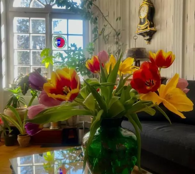 Bed And Breakfast Wildrose