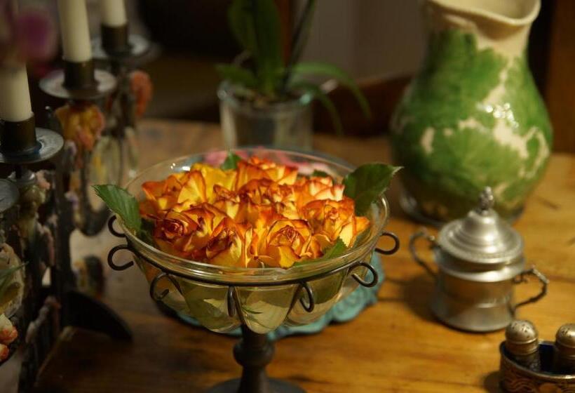 Bed And Breakfast Wildrose