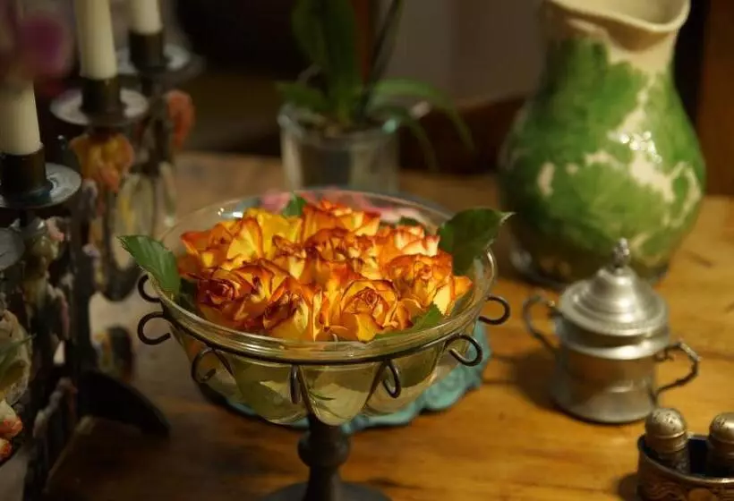 Bed And Breakfast Wildrose