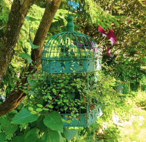 Bed And Breakfast Wildrose