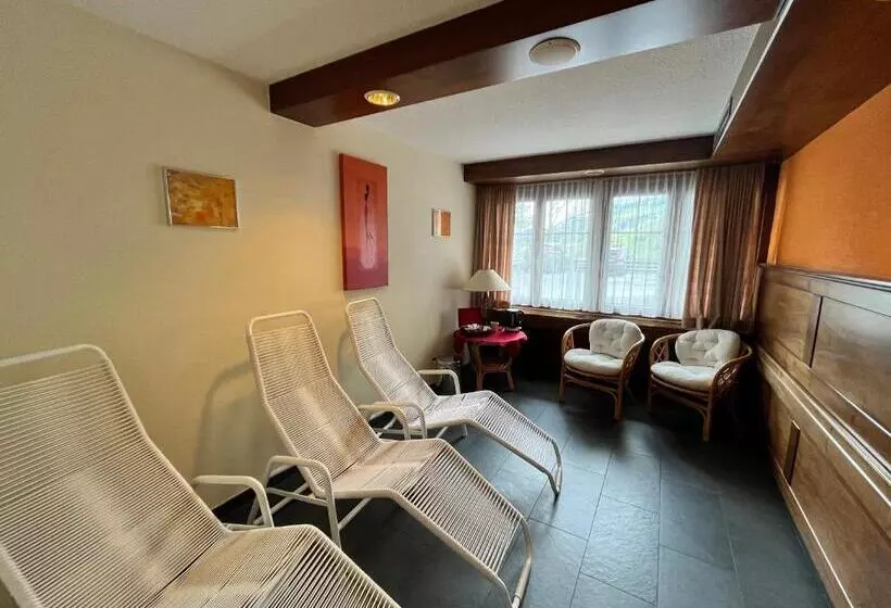هتل Alfa Superieur Leukerbad Therme