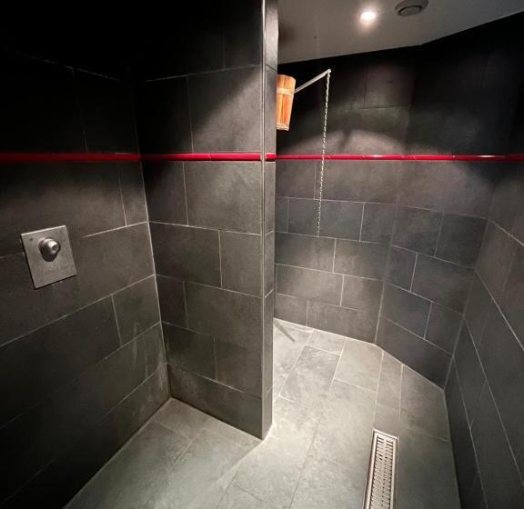 בית מלון כפרי Alfa Superieur   Leukerbad Therme