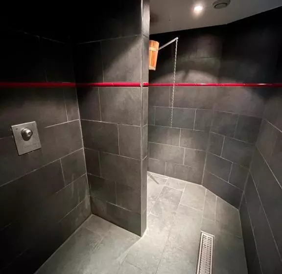 هتل Alfa Superieur Leukerbad Therme