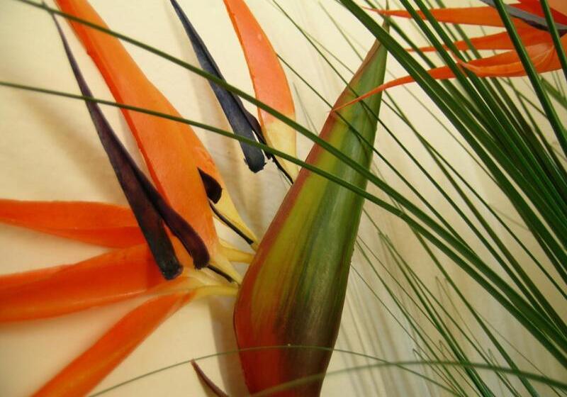 酒店 Garni Rosa Delle Alpi