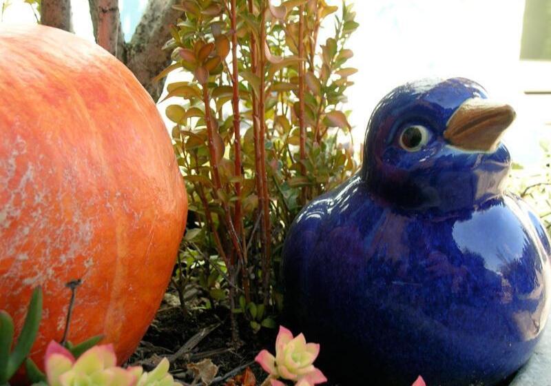 酒店 Garni Rosa Delle Alpi