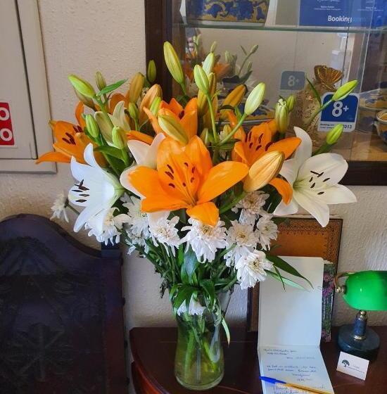 فندق Residencial Alentejana