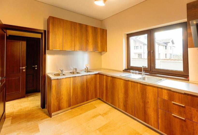 בית מלון כפרי Pensiunea Carmel