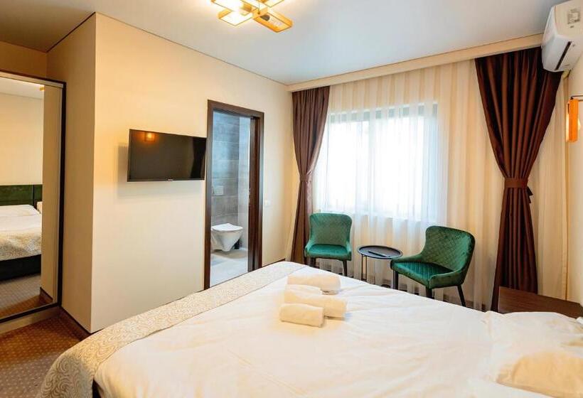 בית מלון כפרי Pensiunea Carmel