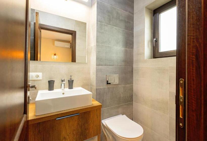 בית מלון כפרי Pensiunea Carmel