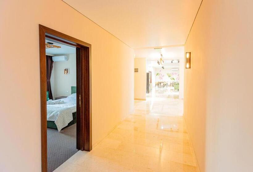 בית מלון כפרי Pensiunea Carmel