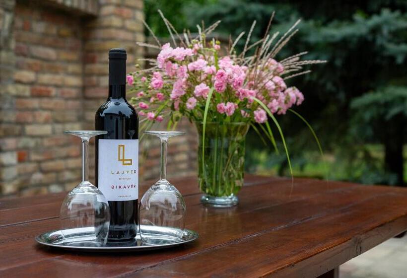 פנסיון Dégi Festetics Kastély, Park Vendégház