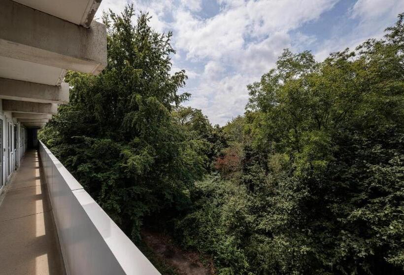 The Tower Sportshostel