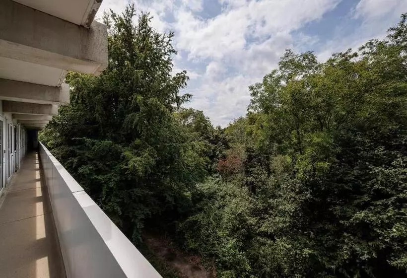 The Tower Sportshostel