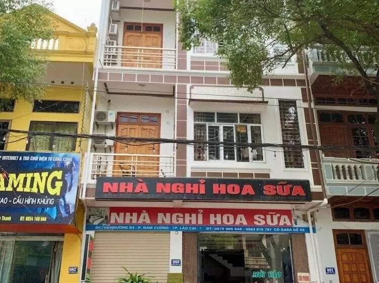Hoa Sữa Hotel Lào Cai   By Bay Luxury