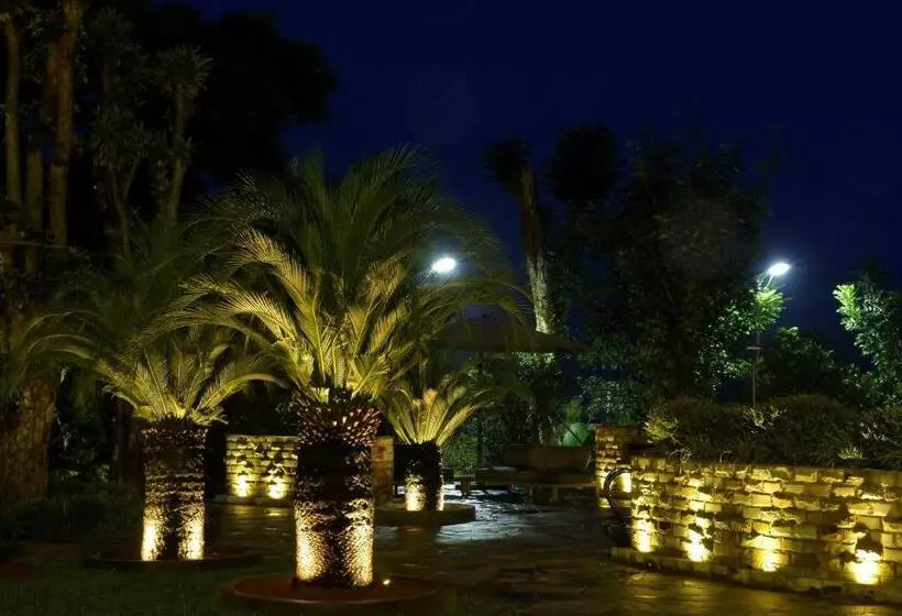 Hotel Sarga Earthing Resort