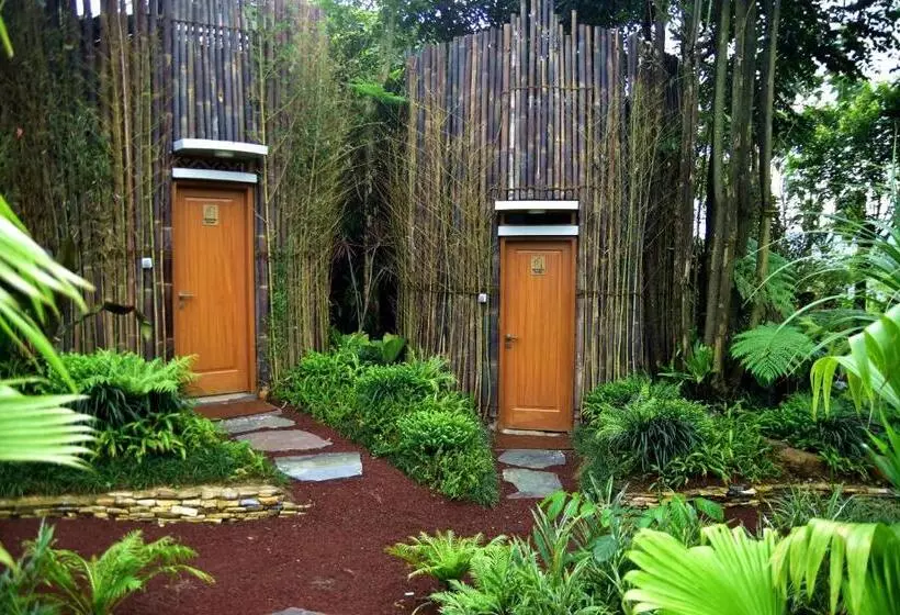 Hotel Sarga Earthing Resort