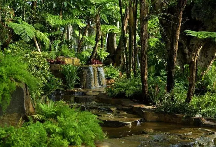 Hotel Sarga Earthing Resort