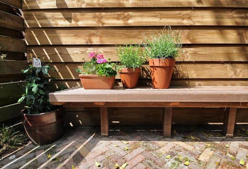 B&b De Klinkende Munt