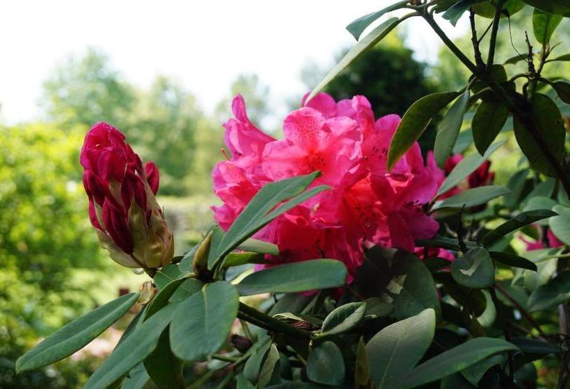 مبيت وإفطار Eersel's Groen