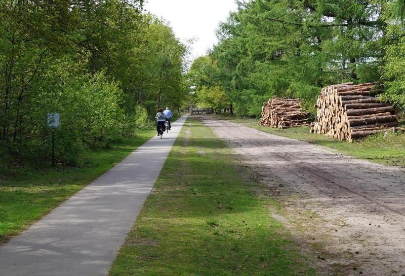 مبيت وإفطار Eersel's Groen