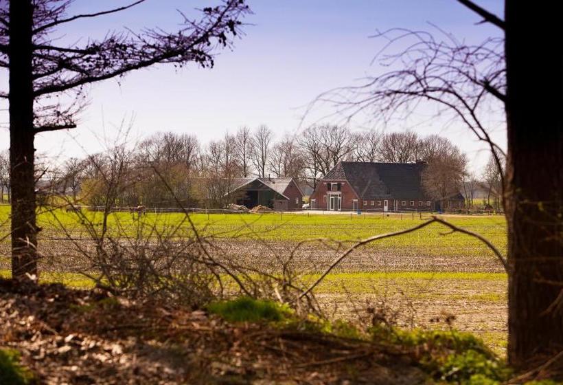 Bed And Breakfast Geertruidahoeve