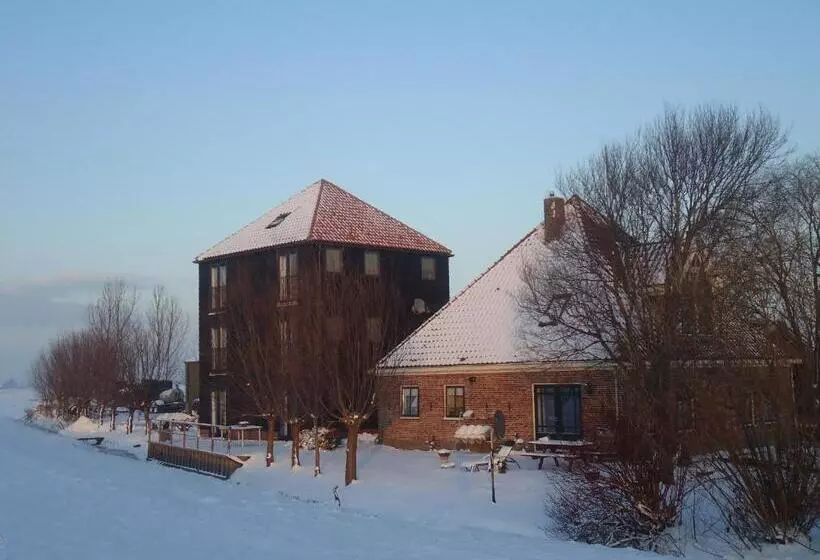 ベッドアンドブレックファースト Hoeve Meerzicht