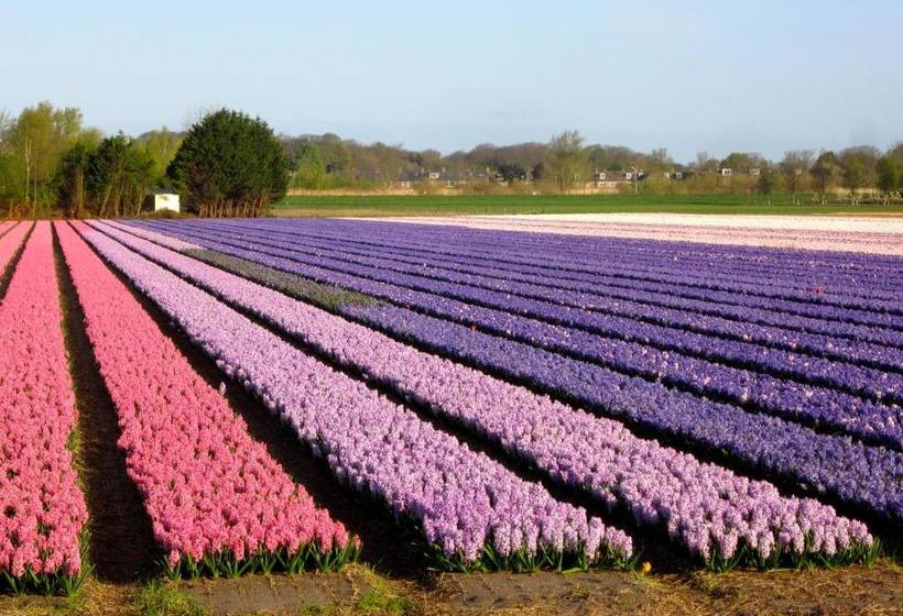 Bed & Breakfast Bij Janzen