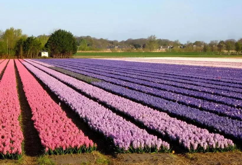 Bed & Breakfast Bij Janzen