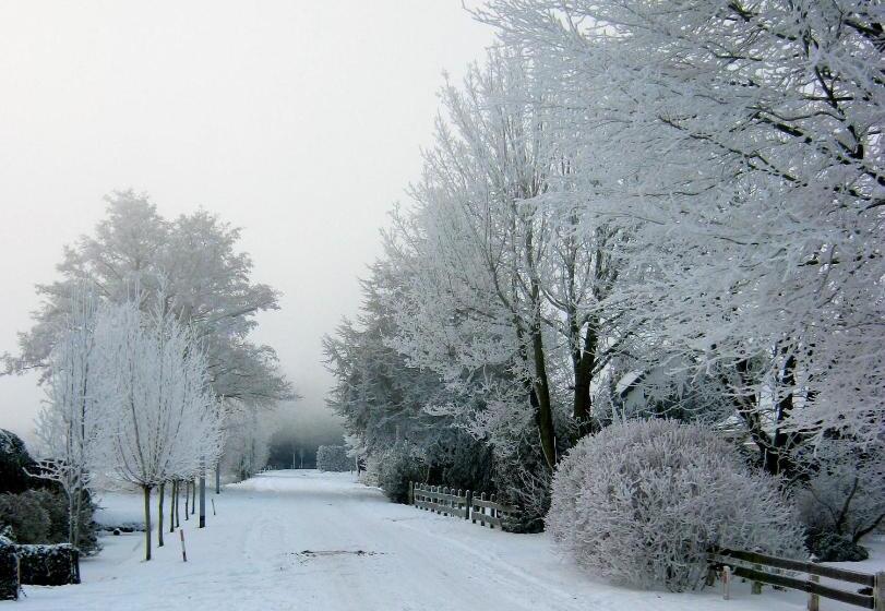 Bed & Breakfast Bij Janzen