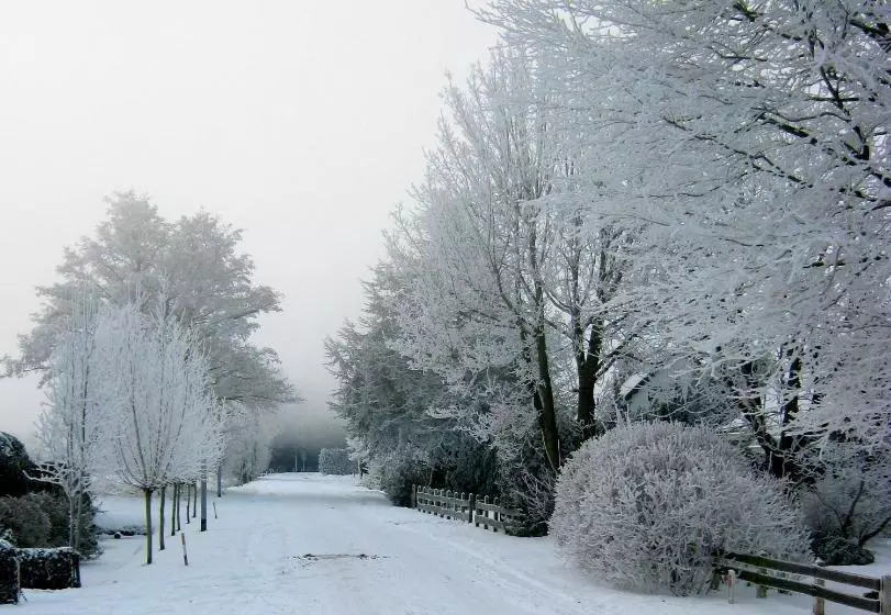 Bed & Breakfast Bij Janzen