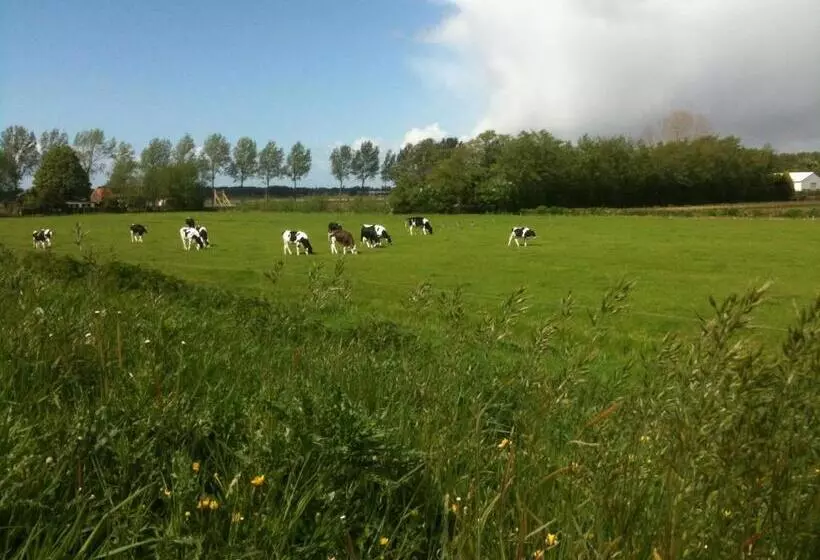 Bed & Breakfast Bij Janzen