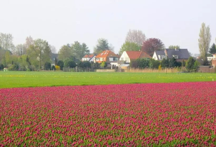 Bed & Breakfast Bij Janzen