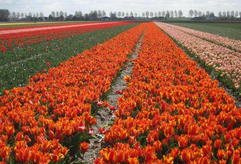 Bed & Breakfast Bij Janzen