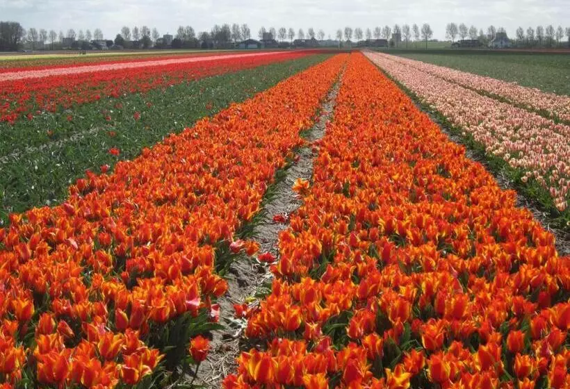 Bed & Breakfast Bij Janzen