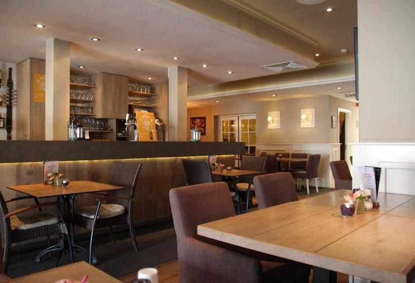 בית מלון כפרי American