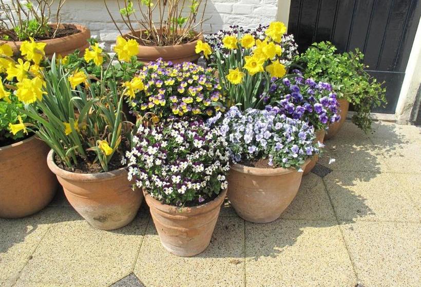 فندق Prins Maurits