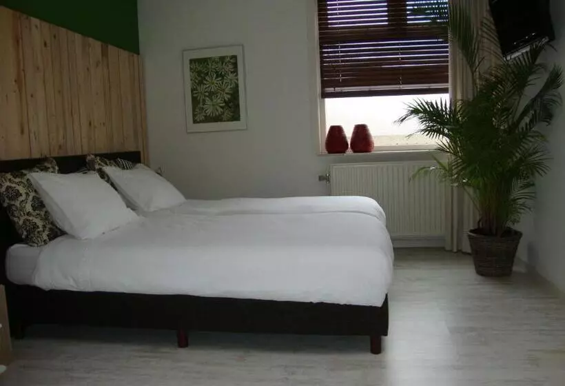 Logement B&b Safier