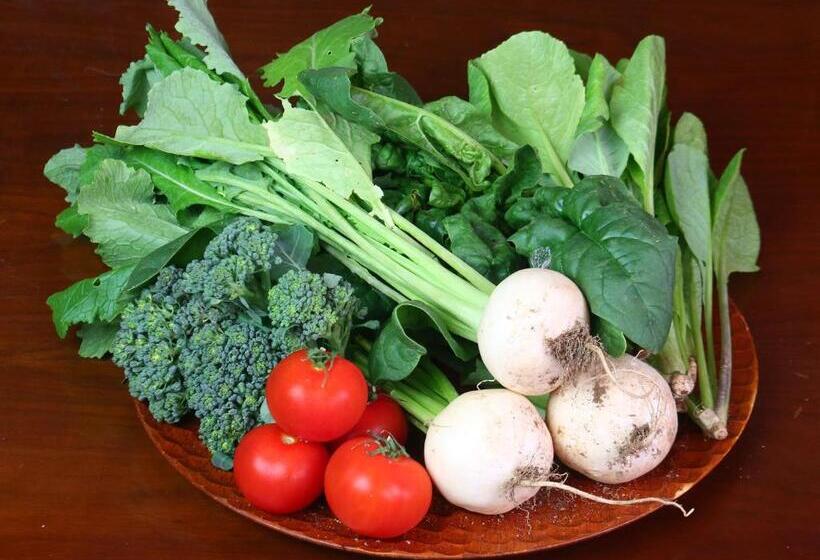 Hotelli En Chan House