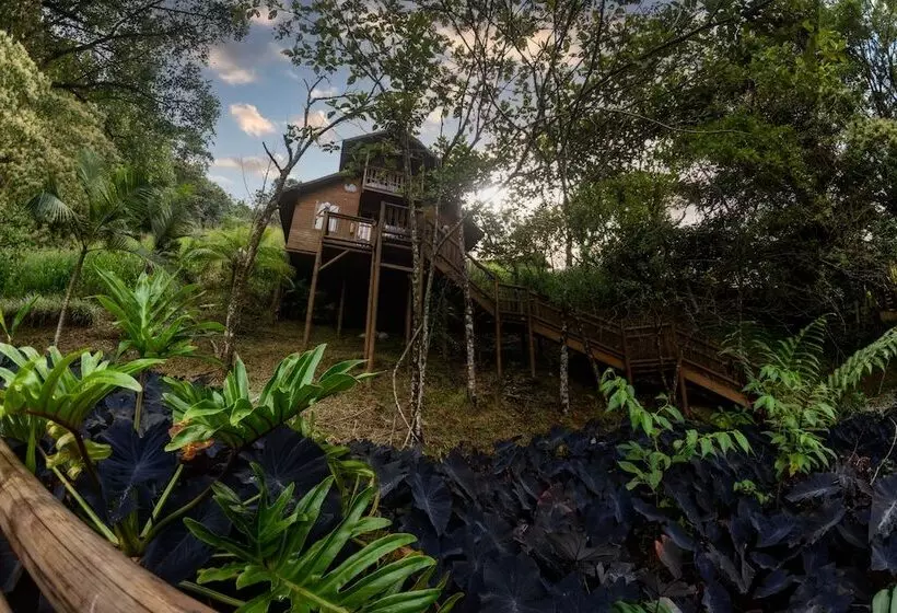 ホテル Manantiales Del Campo