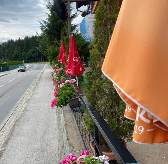 Bed and Breakfast Silver Bike Motel