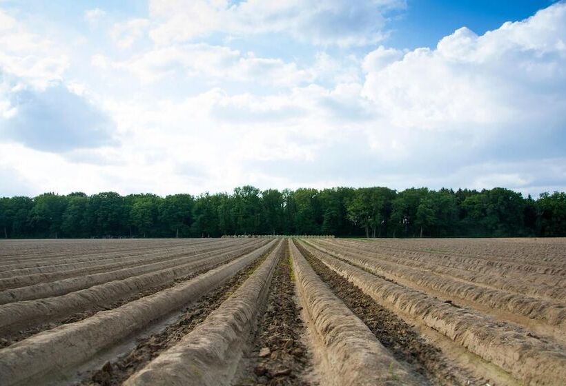 ホテル B&b, Brasserie Lakerhof