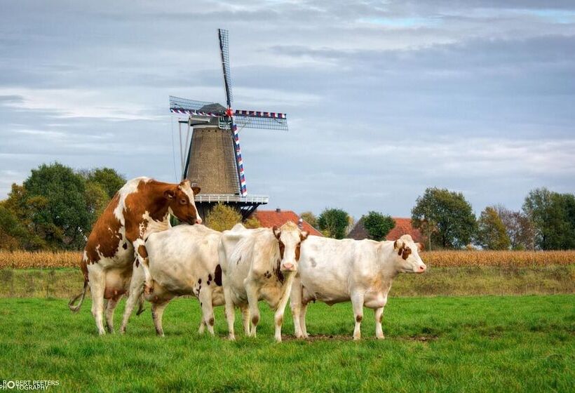 ホテル B&b, Brasserie Lakerhof