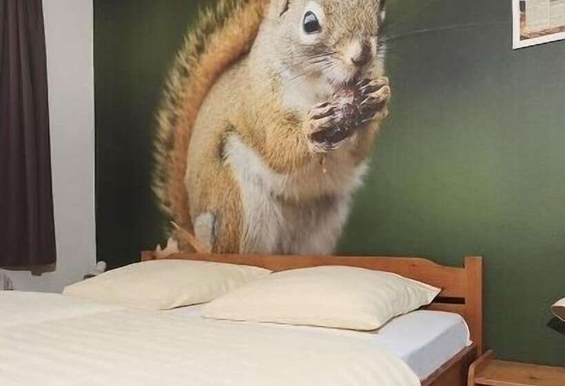 בית מלון כפרי De Drift