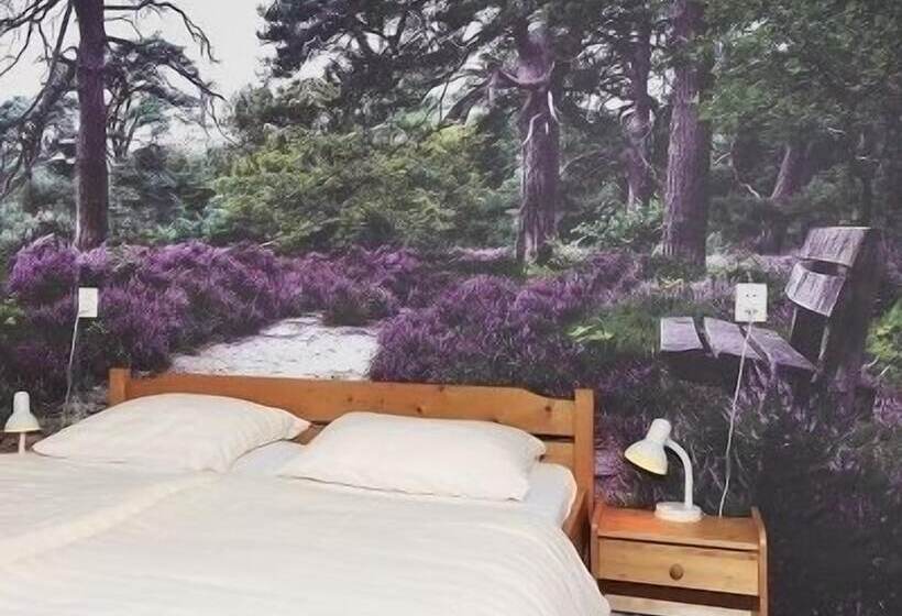 בית מלון כפרי De Drift