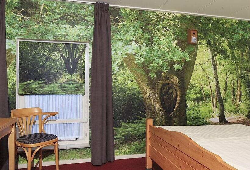 בית מלון כפרי De Drift