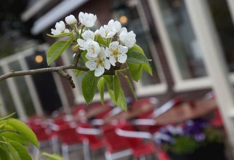 בית מלון כפרי De Drift