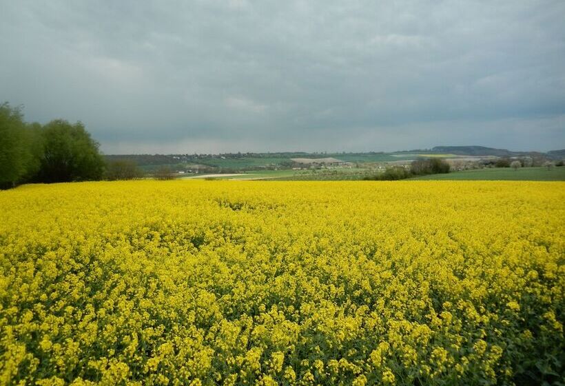 בית מלון כפרי De Linde