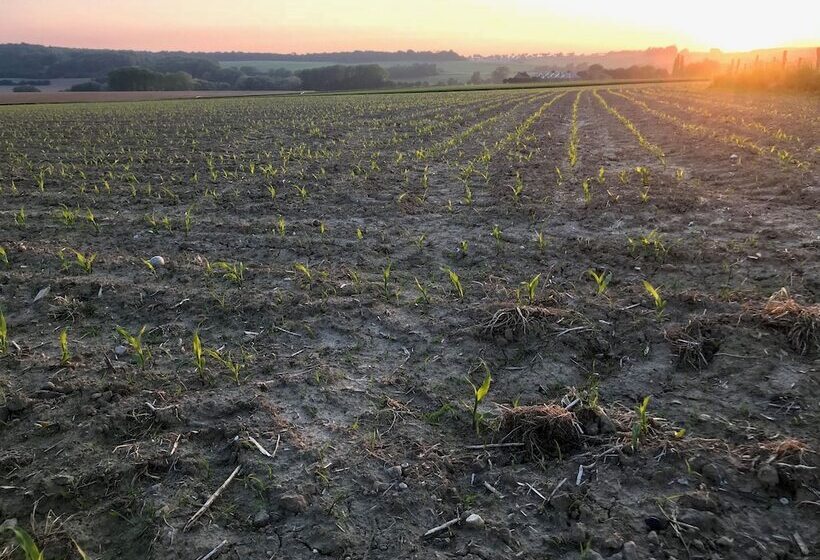 בית מלון כפרי De Linde