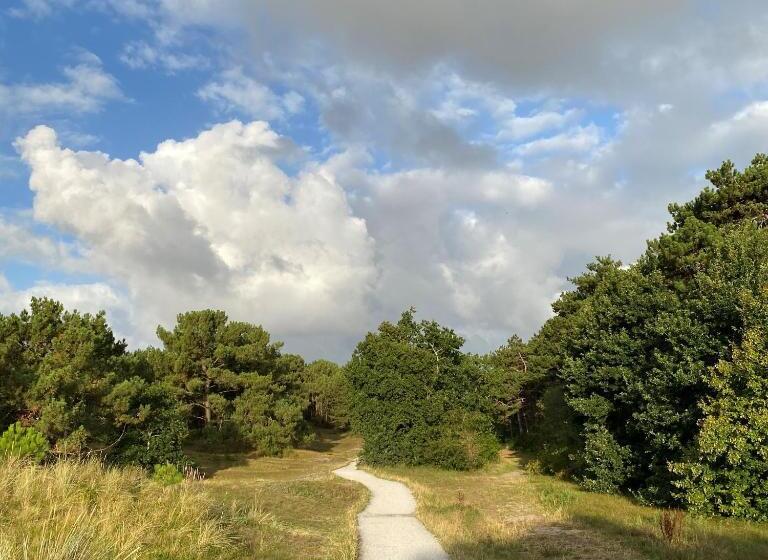 בית מלון כפרי Doniastate