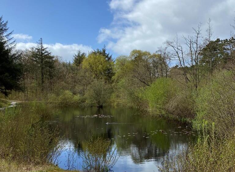 בית מלון כפרי Doniastate